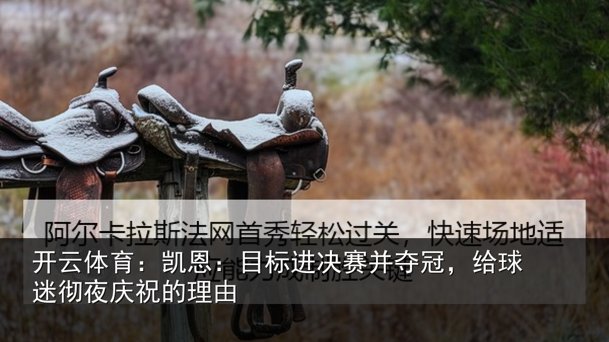 开云体育：凯恩：目标进决赛并夺冠，给球迷彻夜庆祝的理由