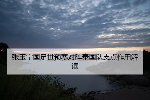 张玉宁国足世预赛对阵泰国队支点作用解读
