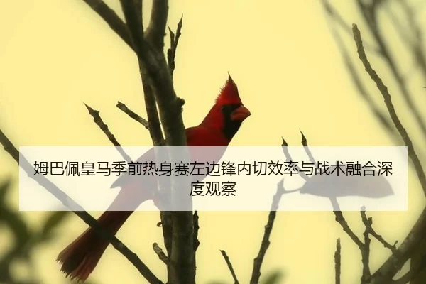 mu-ba-pei-huang-ma-ji-qian-re-shen-sai-zuo-bian-feng-nei-qie-xiao-lv-yu-zhan-shu-rong-he-shen-du-guan-cha-3-498.jpg