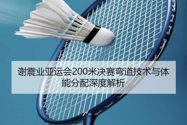 xie-zhen-ye-ya-yun-hui-mi-jue-sai-wan-dao-ji-shu-yu-ti-neng-fen-pei-shen-du-jie-xi-3-560.jpg