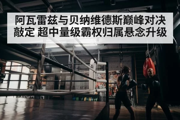 boxer training