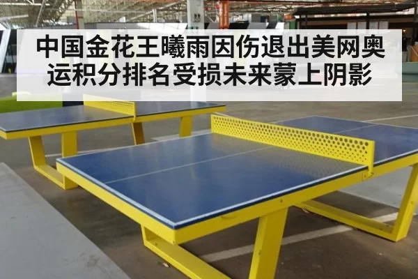 中国金花王曦雨因伤退出美网奥运积分排名受损未来蒙上阴影
